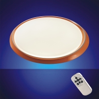 Intelligent LED Ceiling Lamp (with Remote Control)