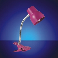 Pretty LED Desk Lamp