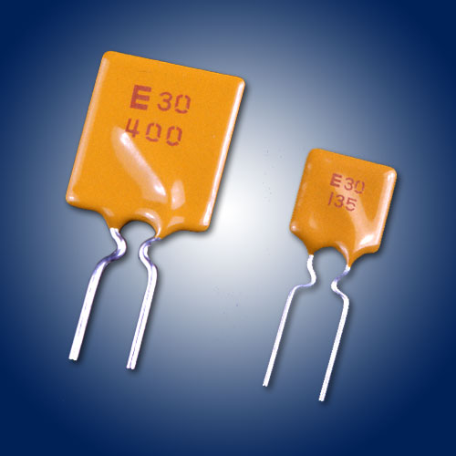 Radial Leaded Type Radial Leaded Type