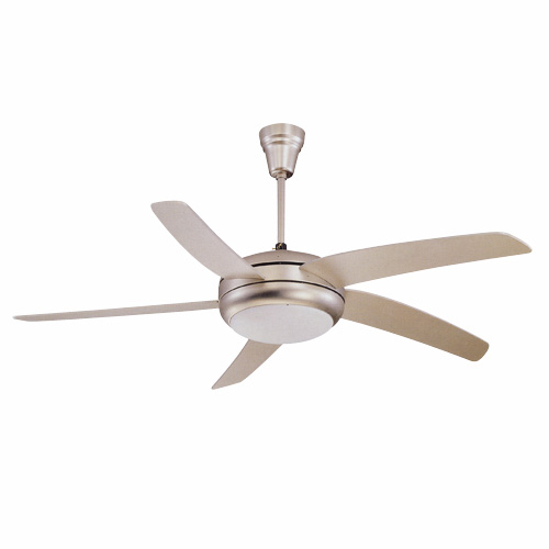 Ceiling Fan Lights
