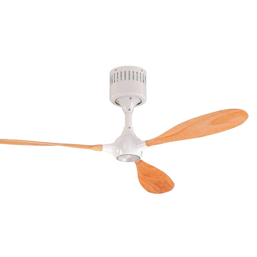 Ceiling Fan Lights Ceiling Fan Lights