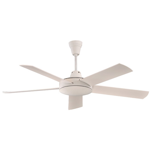 Ceiling Fan Lights