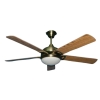 Ceiling Fan Lights