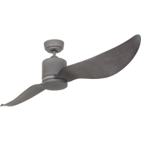 Ceiling Fan Light