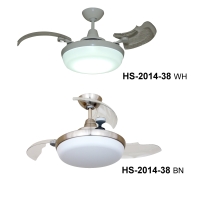 Ceiling Fan Light