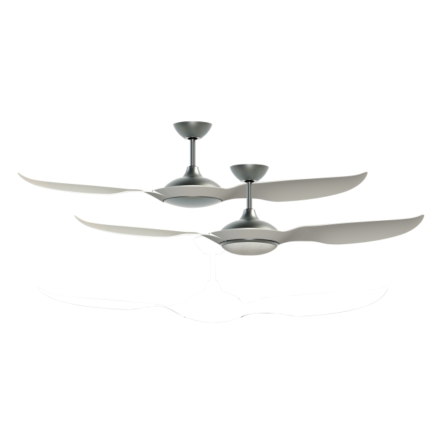 Ceiling Fan Light