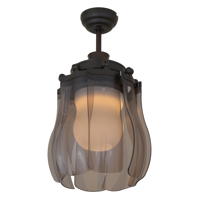 Ceiling Fan Light