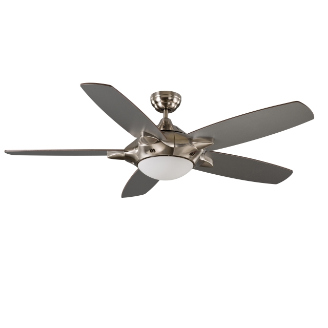 Ceiling Fan Light
