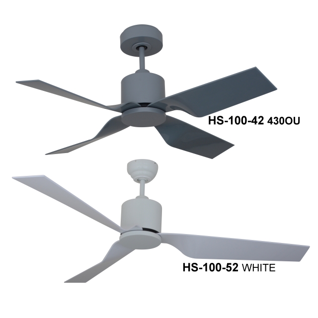 Ceiling Fan Light