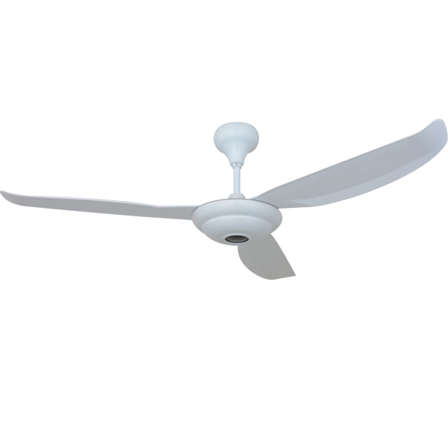 Ceiling Fan Light Ceiling Fan Light