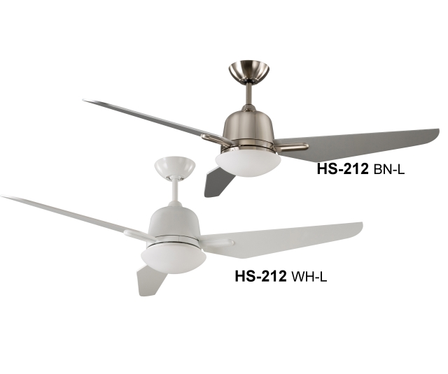 Ceiling Fan Light