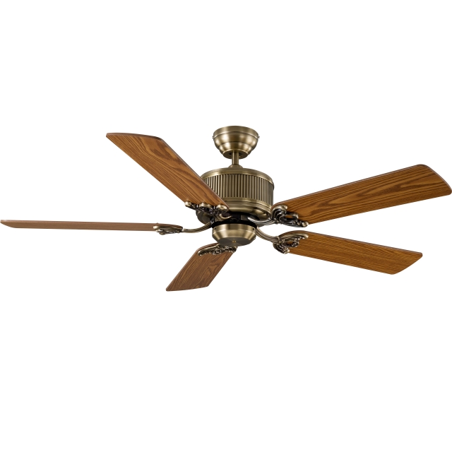 Ceiling Fan Light
