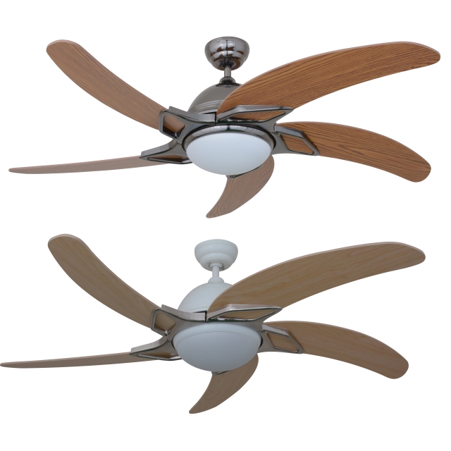 Ceiling Fan Light