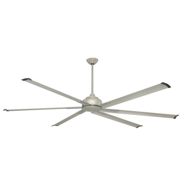 Ceiling Fan Light