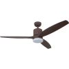 Ceiling Fan Light