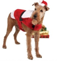Pet apparel Pet apparel