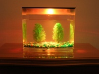 Aquaria Lighting (ODM)