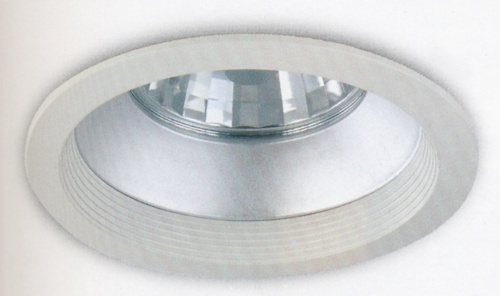 Metal Halide Downlight