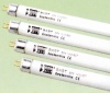 T5 Fluorescent Tube