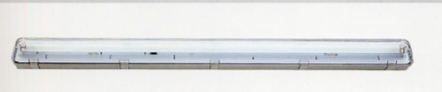 T8 Fluorescent tube