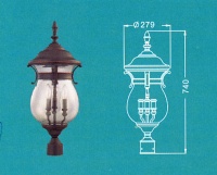Lantern Light