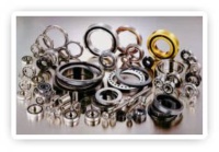 EXSEV 
Bearing Series (for specific environments)