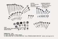 Taiwan Self Drilling Screw, Self-Tapping Screws, Taiwan Roofing Screws, Bi-Metal Self Drilling Screw