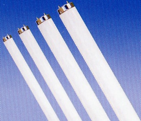 Fluorescent Fluorescent