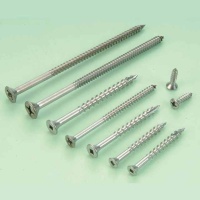 Stainless Steel Screw Stainless Steel Screw