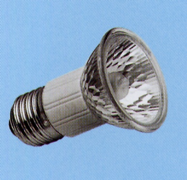 Halogen Lamp