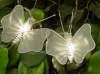 Metal Mesh Butterfly B String Light 
