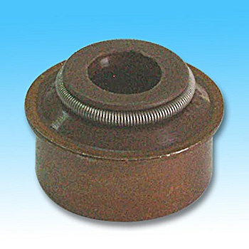 歐洲車用汽門油封