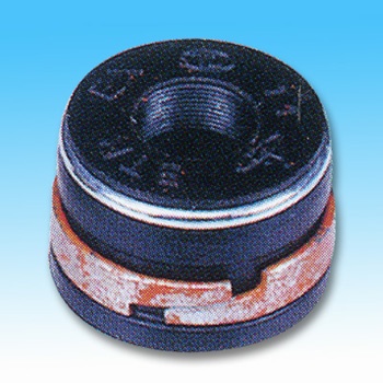 Valve Stem Seals for U.S. Car Models Valve Stem Seals for U.S. Car Models