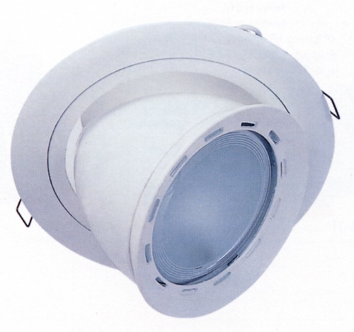 Recessed Down Lights