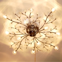 Ceiling Light