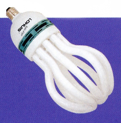 Electronic Energy Saving Lamp