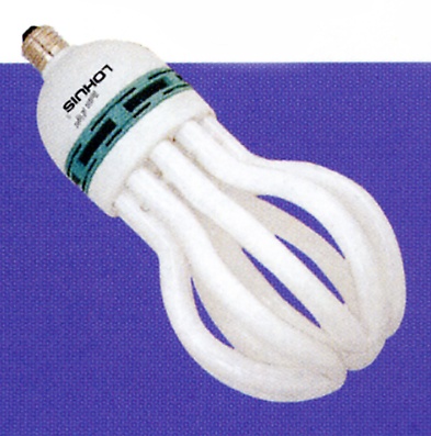 Electronic Energy Saving Lamp Electronic Energy Saving Lamp