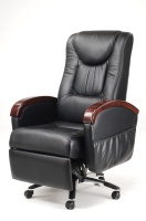 Leisure/Reclining Chairs