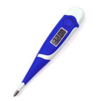Digital Thermometer Digital Thermometer
