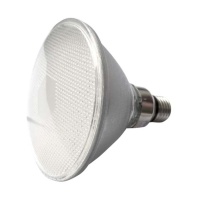 PAR38 LED 燈杯