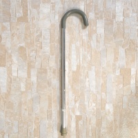 Polished cane with umbrella hook grip