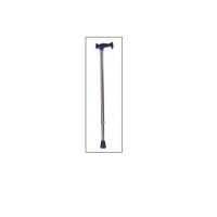 Cane with T grip--1