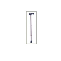 Cane with T grip--2