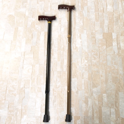 Bronze-colored cane with T grip--2