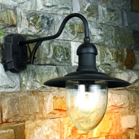 Steel with glass diffuser wall lamp