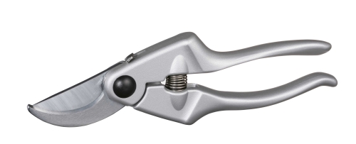 Pruning Shear