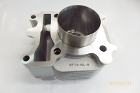 RS 100, Cylinder RS 100, Cylinder