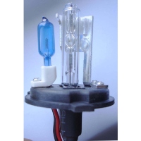 Xenon High and Halogen Low Bulb