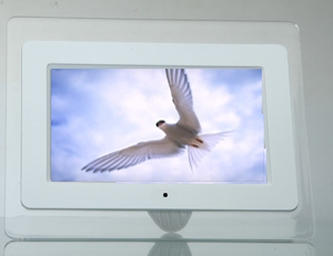 Entertainment Systems Entertainment Systems