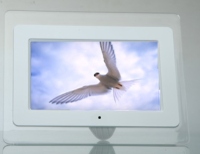 Entertainment Systems Entertainment Systems